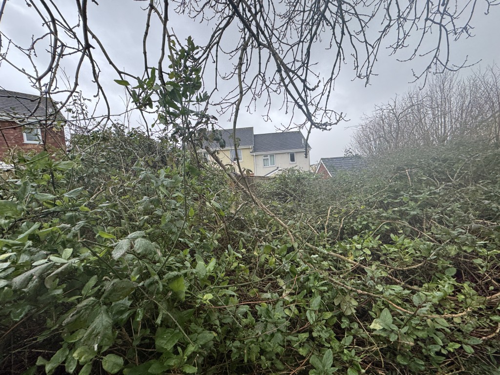 Lot: 95 - FREEHOLD LAND - View of land